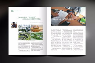 圖 深圳石巖產(chǎn)品畫冊設(shè)計,企業(yè)畫冊專業(yè)設(shè)計,石巖折頁設(shè)計公司 深圳設(shè)計策劃